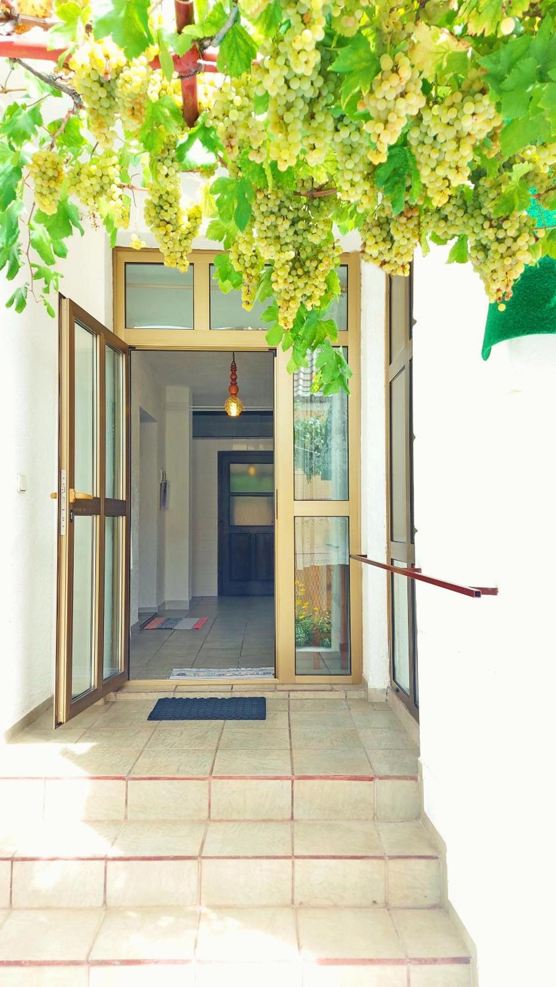 Holiday House With Seaview เซนญ์ ภายนอก รูปภาพ