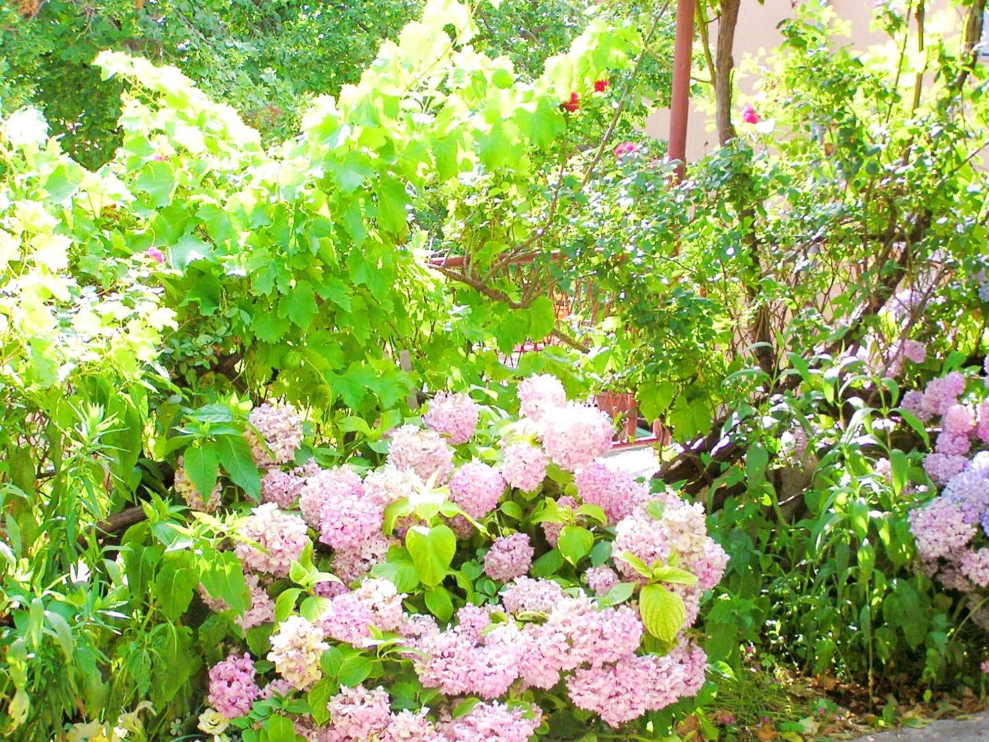 Holiday House With Seaview เซนญ์ ภายนอก รูปภาพ